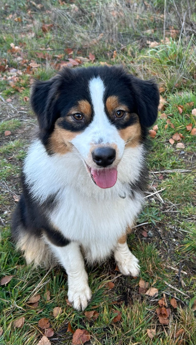 VITA BLACK Des Carrières Du Maupuy